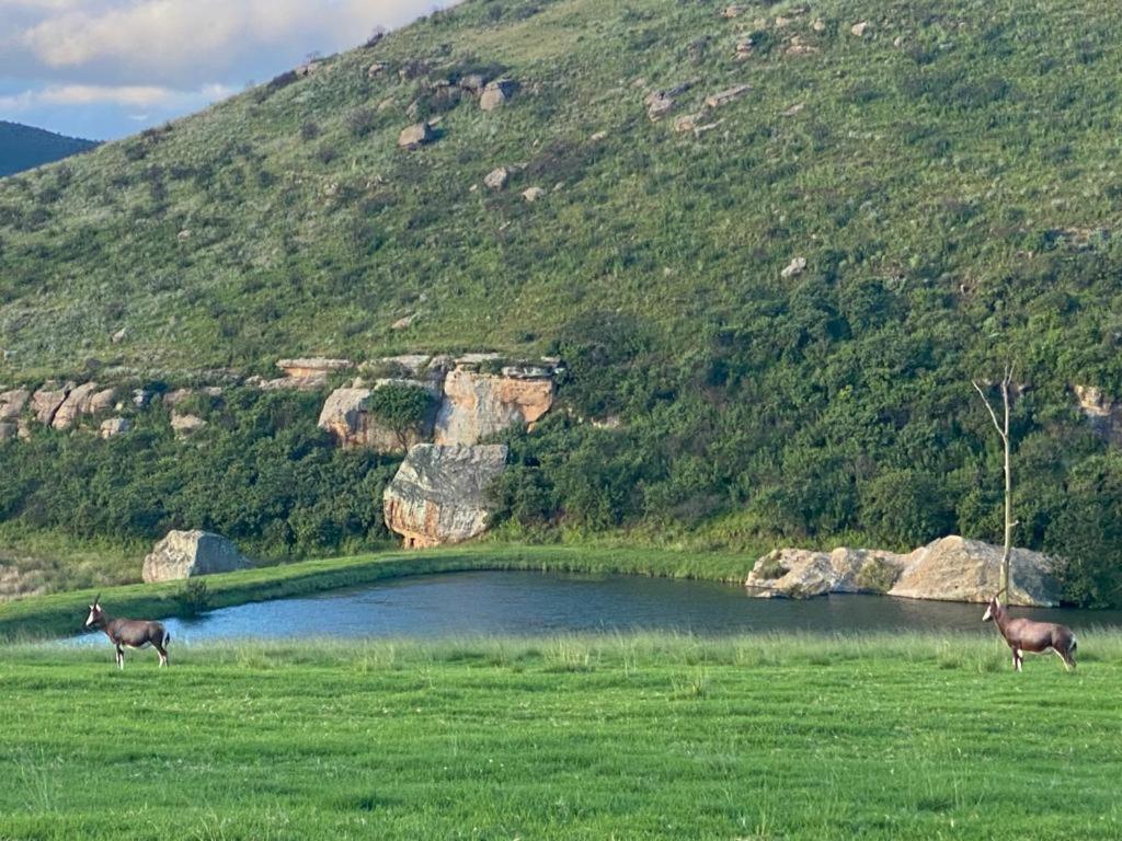 Wetlands Game Lodge Wakkerstroom Exterior photo