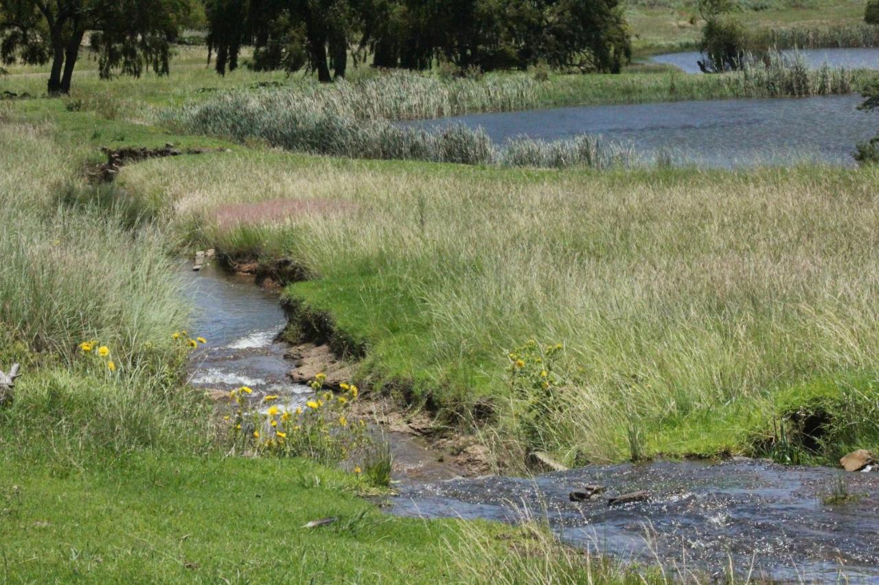 Wetlands Game Lodge Wakkerstroom Exterior photo