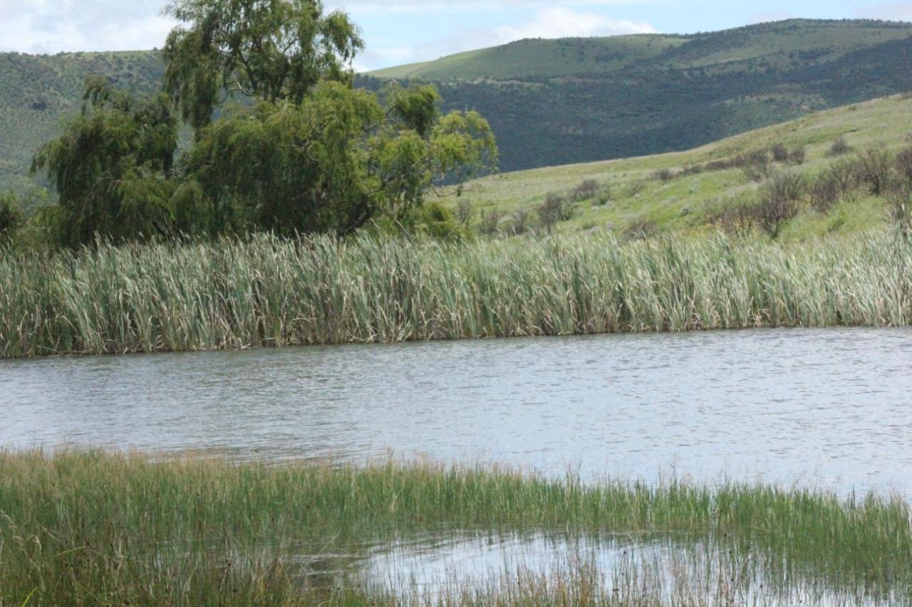 Wetlands Game Lodge Wakkerstroom Exterior photo